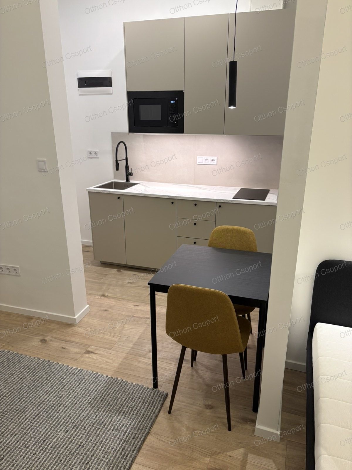 EGYEDÜLÁLLÓKNAK BUDAPEST VII KERÜLET ERZSÉBETVÁROS TERÜLETÉN LAKÁS KIADÓ